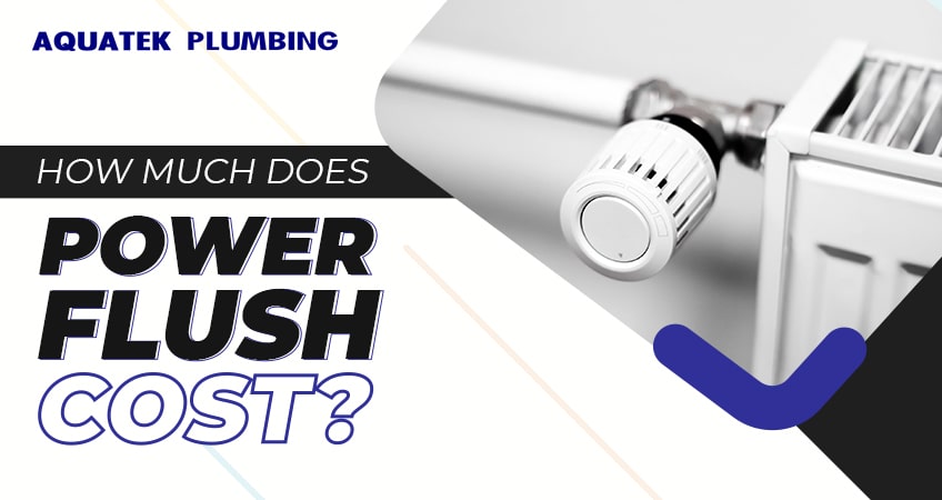 How much does power flush cost